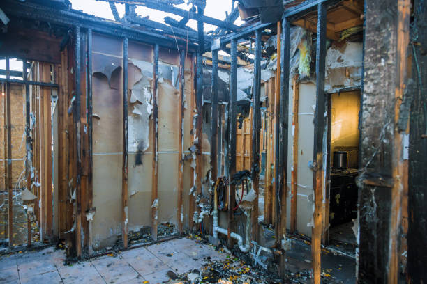 Professional Fire Damage Removal technician working in Englewood, CO